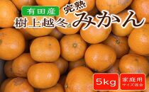 【濃厚・まろやか】有田産樹上越冬完熟みかん約5kg（ご家庭用）★2026年1月下旬頃より順次発送