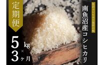 【令和7年産】【定期便・中旬お届け】5kg×3ヶ月　南魚沼産コシヒカリ