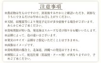 定期便全3回 【2月・3月・4月発送】 和歌山の春のフルーツ （ポンカン・清見オレンジ・まりひめ）【TM174】