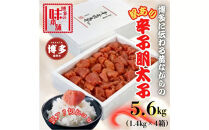 【訳アリ】だけどすごく美味い!博多こだわりの職人の辛子明太子5.6kg(1.4kg×4箱)