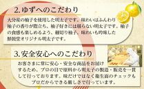 【最短3日発送】博多辛子明太子&nbsp;ゆず皮入り&nbsp;切大&nbsp;500g＜数量限定！絞って使う明太子(1本)付き！＞&nbsp;ゆず明太&nbsp;柚子&nbsp;ユズ&nbsp;めんたいこ&nbsp;切子&nbsp;家庭用&nbsp;訳あり