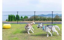 愛犬と泊まる絶景グランピング「LEMON FARM GLAMPING しまなみ」宿泊補助券 45,000円分