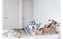 愛犬と泊まる絶景グランピング「LEMON FARM GLAMPING しまなみ」宿泊補助券 45,000円分