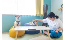 愛犬と泊まる絶景グランピング「LEMON FARM GLAMPING しまなみ」宿泊補助券 45,000円分