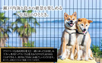 愛犬と泊まる絶景グランピング「LEMON FARM GLAMPING しまなみ」宿泊補助券 45,000円分
