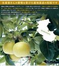 ◆先行予約◆和歌山県産 旬の梨 約4kg【2025年8月中旬以降出荷】［MG75］