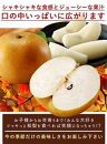 ◆先行予約◆和歌山県産 旬の梨 約4kg【2025年8月中旬以降出荷】［MG75］