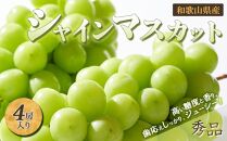 ◆先行予約◆和歌山県産 シャインマスカット 4房入り〈秀品〉［2025年8月中旬以降出荷］［MG22］