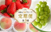 【全3回】和歌山厳選フルーツ定期便（ いちご 桃 シャインマスカット ）［MG16］
