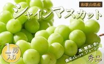 シャインマスカット 1房（600g以上）［2025年8月中旬以降出荷］［MG24］
