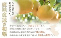 和歌山県産 旬の梨 約2kg［2025年8月中旬以降順次発送］［MG17］