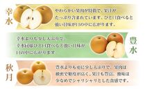 和歌山県産 旬の梨 約2kg［2025年8月中旬以降順次発送］［MG17］