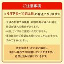 【2025年9月下旬以降発送】 ◆先行予約◆ 和歌山県産 平核無柿＜ご家庭用＞約7.5kg 満杯詰め  柿 種無し たねなし ひらたね 訳あり ［MG87］