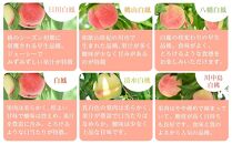 和歌山県産 旬 の 桃 5～6玉入り 秀品【2025年6月下旬より順次発送】［MG33］