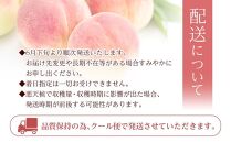 和歌山県産 旬 の 桃 5～6玉入り 秀品【2025年6月下旬より順次発送】［MG33］