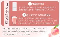 和歌山県産 旬 の 桃 5～6玉入り 秀品【2025年6月下旬より順次発送】［MG33］