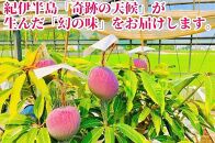 ◆先行予約◆和歌山県産 紀州完熟マンゴー『吉玉』2玉入り【2025年7月中旬から8月下旬頃順次発送予定】［MG19］