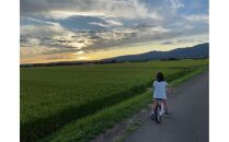 令和6年産　佐渡産コシヒカリ　5キロ　精米　白米　2024年産　ブランド米　