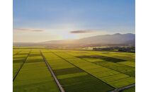 令和6年産　佐渡産コシヒカリ　5キロ　精米　白米　2024年産　ブランド米　