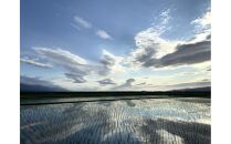 令和6年産　佐渡産コシヒカリ　5キロ　精米　白米　2024年産　ブランド米　