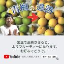 ［先行予約］樹上南高梅の青梅 約2kg 追熟用 梅ボーイズ 紀州南高梅 5月中旬～6月中旬頃に順次発送予定 A-093a