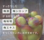 ［先行予約］樹上南高梅の青梅 約5kg 梅ボーイズ 紀州南高梅 5月中旬～6月中旬頃に順次発送予定 B-505