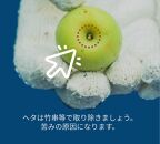［先行予約］樹上南高梅の青梅 約5kg 梅ボーイズ 紀州南高梅 5月中旬～6月中旬頃に順次発送予定 B-505