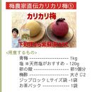 ［先行予約］樹上南高梅の青梅 約5kg 梅ボーイズ 紀州南高梅 5月中旬～6月中旬頃に順次発送予定 B-505