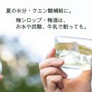［先行予約］樹上南高梅の青梅 約5kg 梅ボーイズ 紀州南高梅 5月中旬～6月中旬頃に順次発送予定 B-505