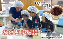 オリジナルおにぎり梅製作体験ペアチケット A-003b