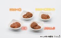 オリジナルおにぎり梅製作体験ペアチケット A-003b