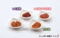 オリジナルおにぎり梅製作体験ペアチケット A-003b