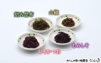オリジナルおにぎり梅製作体験ペアチケット A-003b