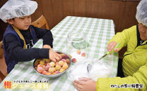 カフェドマンマ食事券1500円分＆梅ジュースづくり体験チケット&nbsp;&nbsp;iwasho012A