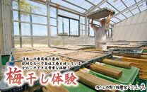 カフェドマンマ食事券1500円分＆梅干し作業体験チケット  A-002b