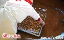 カフェドマンマ食事券1500円分＆梅干し作業体験チケット&nbsp;&nbsp;iwasho008A