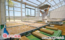 カフェドマンマ食事券1500円分＆梅干し作業体験チケット&nbsp;&nbsp;iwasho008A