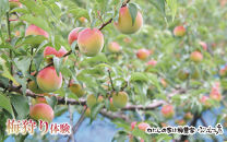 カフェドマンマ食事券2000円分＆梅狩り体験チケット&nbsp;※≪6月1日～15日≫のみ体験受付可&nbsp;iwasho007A