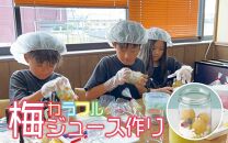 カラフル梅ジュースづくり体験ペアチケット A-006b