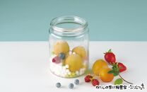 カラフル梅ジュースづくり体験ペアチケット A-006b
