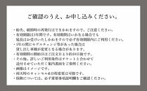 【VIGORE&nbsp;JOURNEY】ビゴーレ自転車レンタルチケット1日分［&nbsp;京都&nbsp;ロードバイク&nbsp;自転車&nbsp;ブランド&nbsp;人気&nbsp;おすすめ&nbsp;スポーツ&nbsp;アウトドア&nbsp;ツーリング&nbsp;ブランド&nbsp;メーカー&nbsp;取り寄せ&nbsp;通販&nbsp;ふるさと納税&nbsp;］