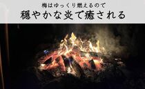 【定期便 毎月発送・全3回 】梅の薪 約14kg×3回 梅ボーイズ 広葉樹【 広葉樹トップ級の火持ち】C-014
