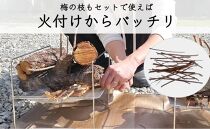 【定期便 毎月発送・全3回 】梅の薪 約14kg×3回 梅ボーイズ 広葉樹【 広葉樹トップ級の火持ち】C-014