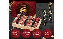 至高の焼肉　極　5種盛りセット　合計500g