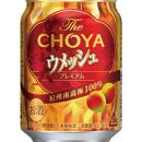 【南高梅100％】The CHOYA ウメッシュプレミアム 250ml×24本 ［MG82］