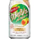 【南高梅100％】The CHOYA 酔わないウメッシュ(ノンアルコール)350ml×24本 ［MG83］