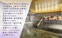 【京湯元 ハトヤ瑞鳳閣】1泊朝食付ペア宿泊券《【特別室】和洋室》［ 京都 好立地 ホテル 宿泊券 人気 おすすめ 宿泊 旅行 観光 ふるさと納税  ］