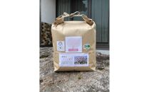 【定期便】2026年 さくら定期便 鹿野のさくら姫米 3kg×全3回【4月・5月・6月】