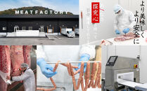 簡単調理 お肉屋さんのおかず お惣菜 2人前×6食セット 一週間分の献立 がっつりご飯が進むぜセット