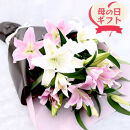 【母の日ギフト】カサブランカとピンク百合の花束＜お届け日：2026年5/4～5/10&nbsp;当店おまかせ&nbsp;＞【母の日&nbsp;ギフト&nbsp;カサブランカ&nbsp;ピンク&nbsp;百合&nbsp;花束&nbsp;花&nbsp;花傷み防止&nbsp;大阪府&nbsp;門真市&nbsp;】